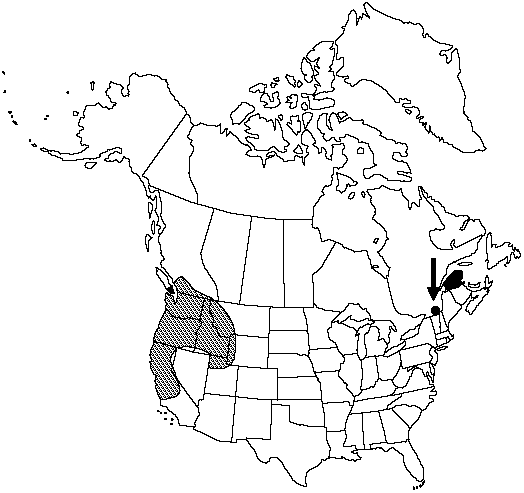 V2 244-distribution-map.gif