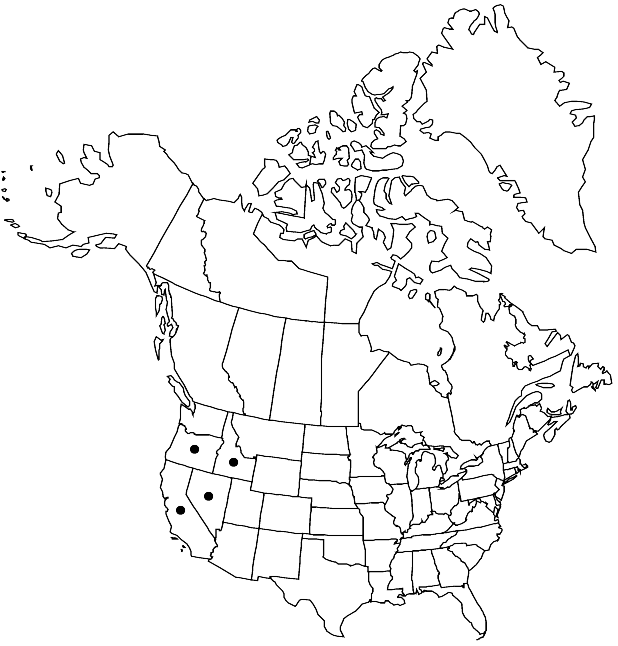V7 279-distribution-map.gif