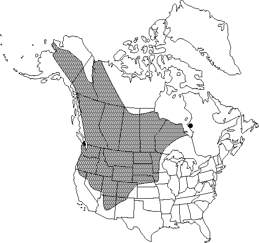 V3 446-distribution-map.gif