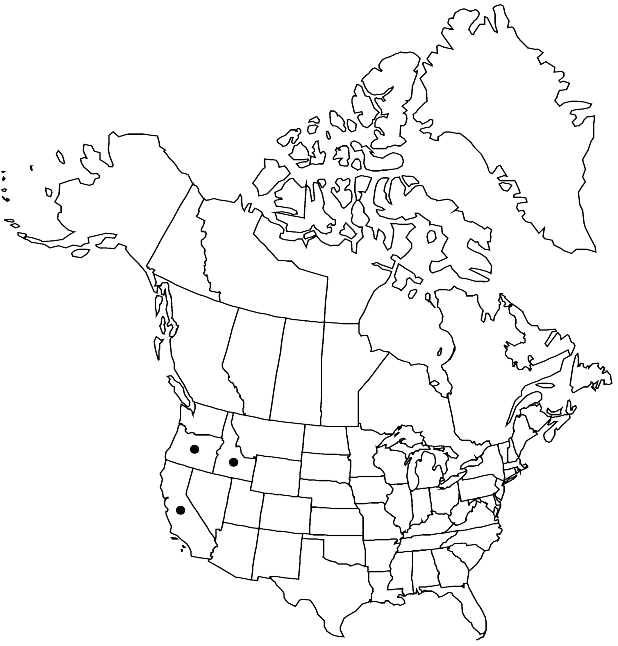 V7 492-distribution-map.gif