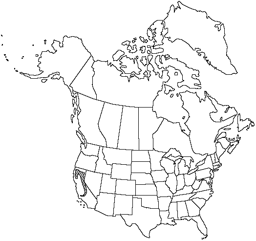 V2 591-distribution-map.gif