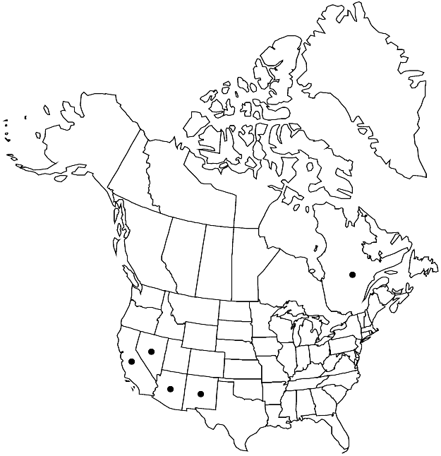 V28 217-distribution-map.gif