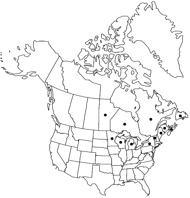 V7 367-distribution-map.gif