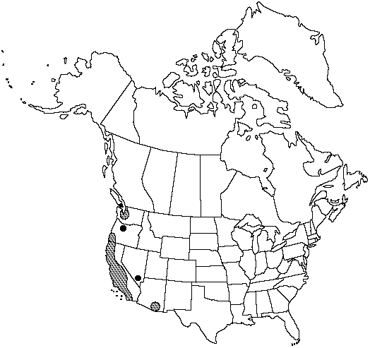 V2 375-distribution-map.gif